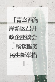 青岛西海岸新区召开政企座谈会，畅谈服务民生新举措