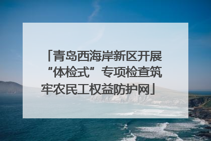青岛西海岸新区开展“体检式”专项检查筑牢农民工权益防护网
