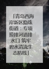 青岛西海岸新区隐珠街道：专项摸排河道排水口 筑牢碧水清流生态防线