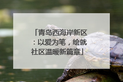 青岛西海岸新区：以爱为笔，绘就社区温暖新篇章