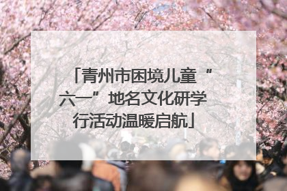 青州市困境儿童“六一”地名文化研学行活动温暖启航