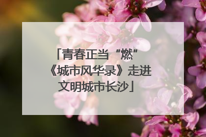 青春正当“燃” 《城市风华录》走进文明城市长沙