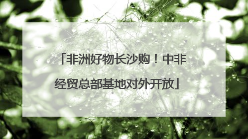 非洲好物长沙购！中非经贸总部基地对外开放