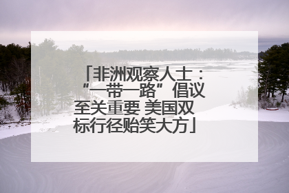 非洲观察人士：“一带一路”倡议至关重要 美国双标行径贻笑大方