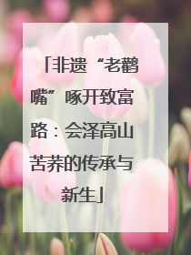 非遗“老鹳嘴”啄开致富路：会泽高山苦荞的传承与新生