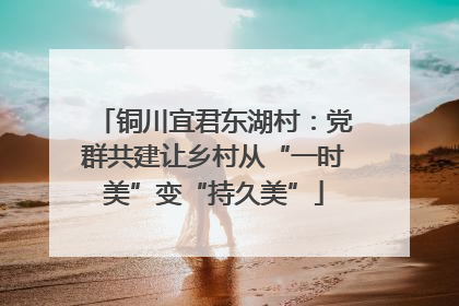 铜川宜君东湖村：党群共建让乡村从“一时美”变“持久美”