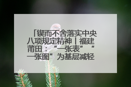 锲而不舍落实中央八项规定精神丨福建莆田：“一张表”“一张图”为基层减轻“数字负担”