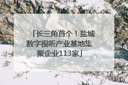 长三角首个！盐城数字视听产业基地集聚企业113家