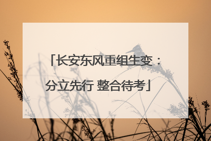 长安东风重组生变：分立先行 整合待考