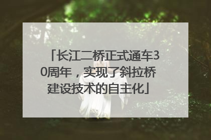 长江二桥正式通车30周年，实现了斜拉桥建设技术的自主化