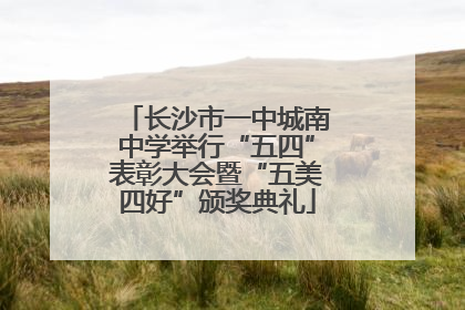 长沙市一中城南中学举行“五四”表彰大会暨“五美四好”颁奖典礼