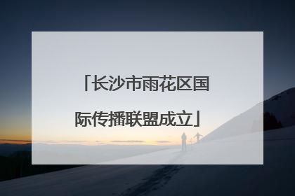 长沙市雨花区国际传播联盟成立