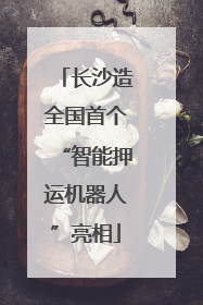 长沙造全国首个“智能押运机器人”亮相