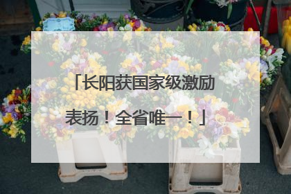 长阳获国家级激励表扬！全省唯一！