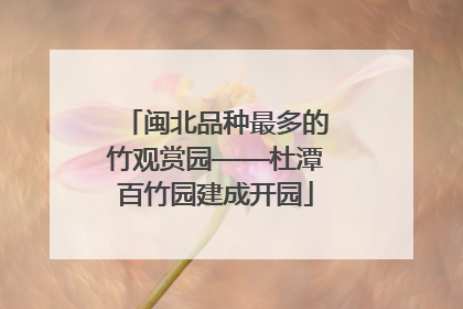闽北品种最多的竹观赏园——杜潭百竹园建成开园
