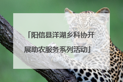 阳信县洋湖乡科协开展助农服务系列活动