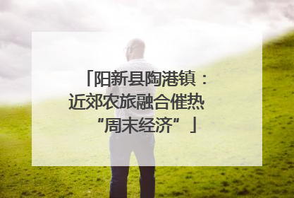 阳新县陶港镇：近郊农旅融合催热“周末经济”