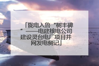陇电入鲁“树丰碑”——电建核电公司建设灵台电厂项目并网发电侧记