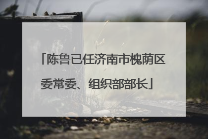 陈鲁已任济南市槐荫区委常委、组织部部长