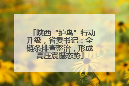 陕西“护鸟”行动升级，省委书记：全链条排查整治，形成高压震慑态势