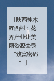 陕西神木铧西村：花卉产业让美丽资源变身“致富密码”