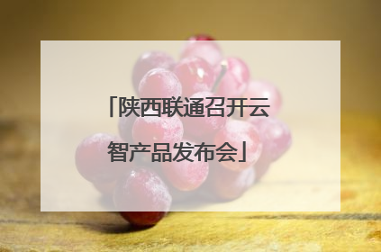 陕西联通召开云智产品发布会