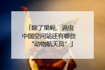 除了果蝇、涡虫 中国空间站还有哪些“动物航天员”