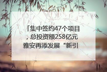 集中签约47个项目，总投资额258亿元 雅安再添发展“新引擎”｜数读西投