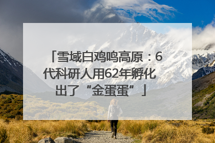 雪域白鸡鸣高原：6代科研人用62年孵化出了“金蛋蛋”