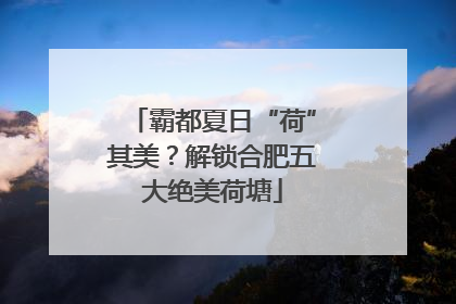 霸都夏日“荷”其美？解锁合肥五大绝美荷塘