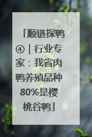 顺链探鸭④｜行业专家：我省肉鸭养殖品种80%是樱桃谷鸭