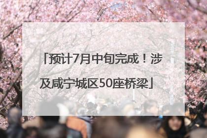 预计7月中旬完成！涉及咸宁城区50座桥梁