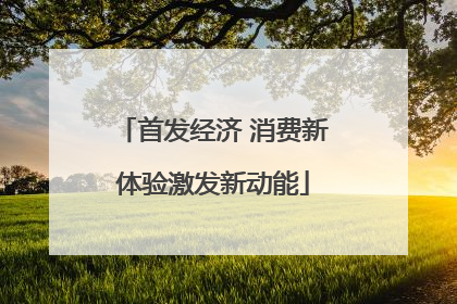 首发经济 消费新体验激发新动能
