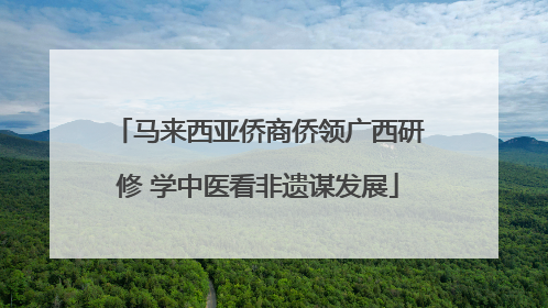 马来西亚侨商侨领广西研修 学中医看非遗谋发展