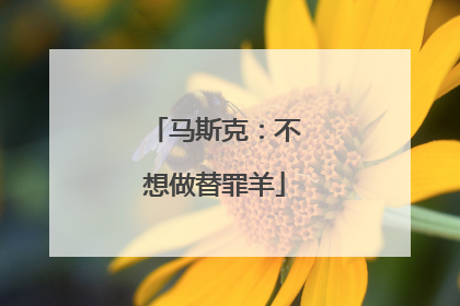 马斯克：不想做替罪羊