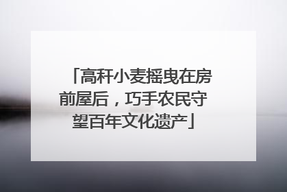 高秆小麦摇曳在房前屋后，巧手农民守望百年文化遗产