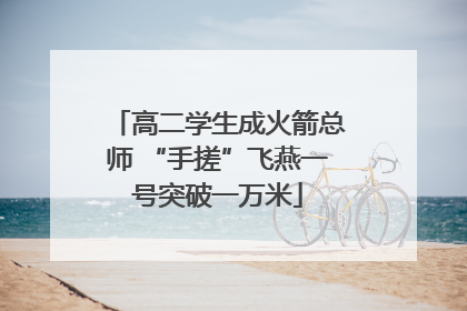 高二学生成火箭总师 “手搓”飞燕一号突破一万米