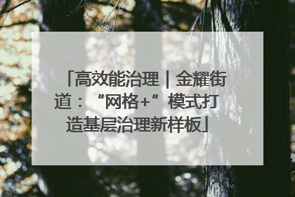 高效能治理｜金耀街道：“网格+”模式打造基层治理新样板