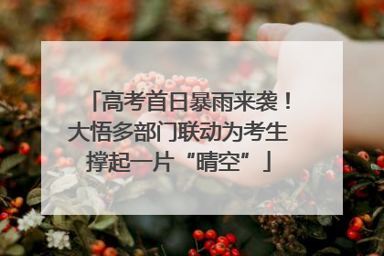 高考首日暴雨来袭！大悟多部门联动为考生撑起一片“晴空”