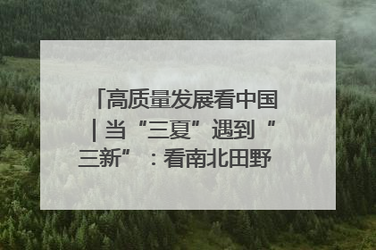 高质量发展看中国｜当“三夏”遇到“三新”：看南北田野里的科技共生记