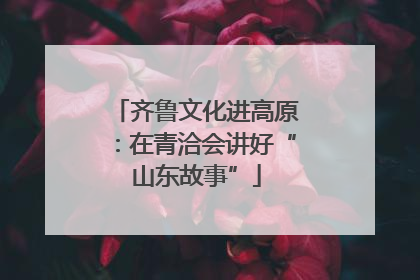 齐鲁文化进高原：在青洽会讲好“山东故事”