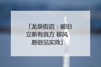 龙泉街道：破旧立新有良方 移风易俗见实效