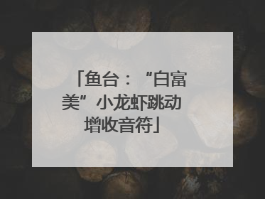 鱼台：“白富美”小龙虾跳动增收音符