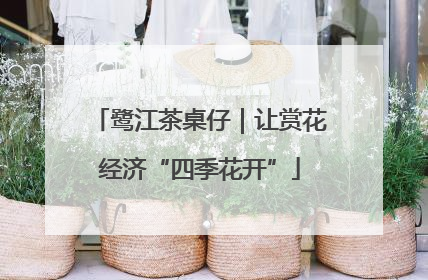 鹭江茶桌仔｜让赏花经济“四季花开”