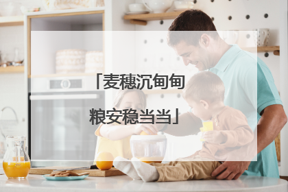麦穗沉甸甸 粮安稳当当