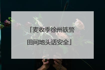 麦收季徐州铁警田间地头话安全