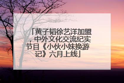 黄子韬徐艺洋加盟，中外文化交流纪实节目《小伙小妹换游记》六月上线