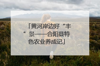 黄河岸边好“丰”景——合阳县特色农业养成记
