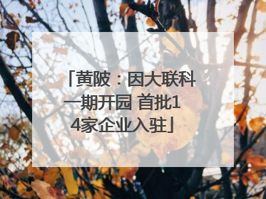 黄陂：因大联科一期开园 首批14家企业入驻