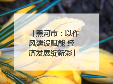 黑河市：以作风建设赋能 经济发展绽新彩
